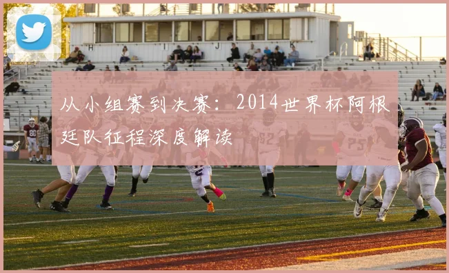 从小组赛到决赛：2014世界杯阿根廷队征程深度解读